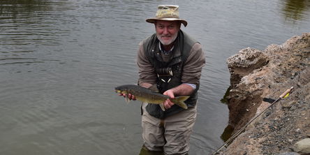 Chasing slabs of gold