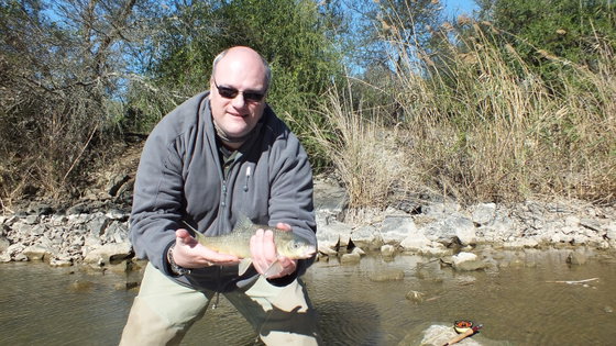 Fishing indigenous yellow fish, South Africa