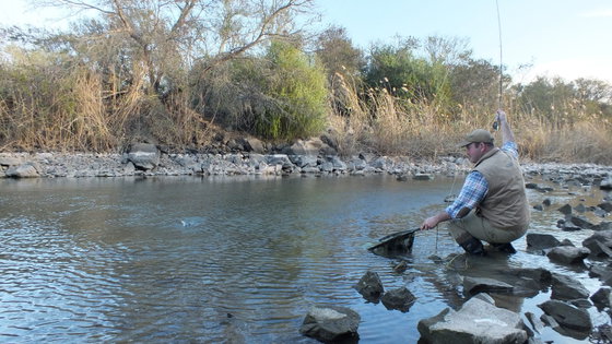 Fly Fishing Yellow Fish, Wild Fly Fishing in the Karoo, South Africa