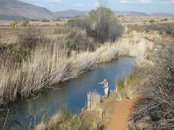 Fly Fishing for trout in rivers, Wild Fly Fishing in the Karoo, South Africa