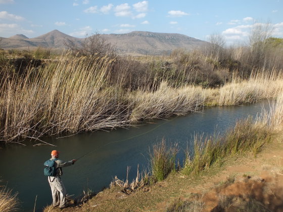 Fly Fishing for trout in rivers, Wild Fly Fishing in the Karoo, South Africa