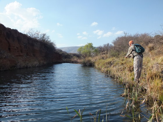 Fly Fishing for trout in rivers, Wild Fly Fishing in the Karoo, South Africa