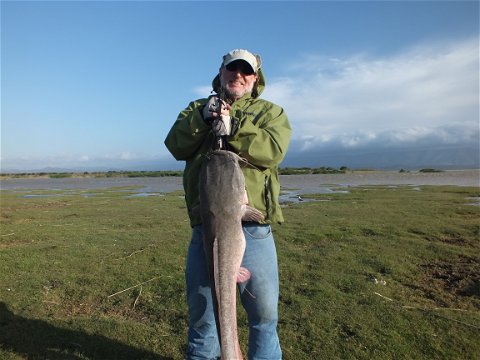Fishing Barbel or Cat Fish, Wild Fly Fishing in the Karoo, South Africa