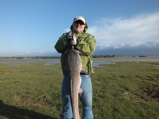 Fishing Barbel or Cat Fish, Wild Fly Fishing in the Karoo, South Africa Fishing Barbel or Cat Fish, Wild Fly Fishing in the Karoo, South Africa