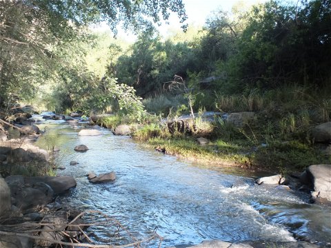 Fly Fishing for trout in rivers, Wild Fly Fishing in the Karoo, South Africa