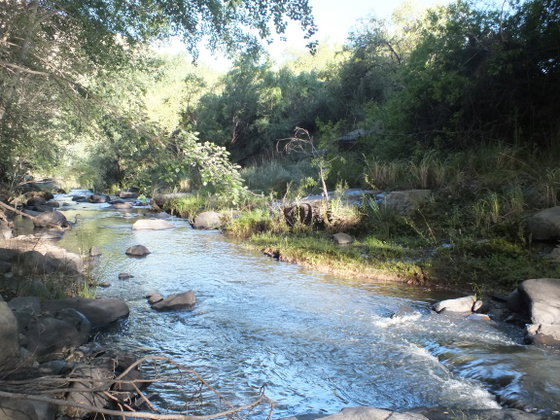 Fly Fishing for trout in rivers, Wild Fly Fishing in the Karoo, South Africa