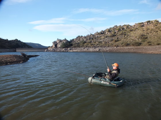 Fishing trout, Still water