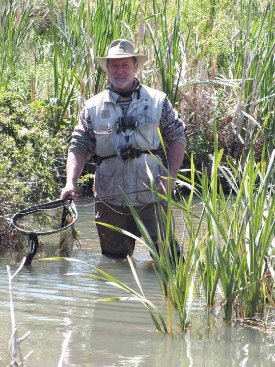 Fishing trout