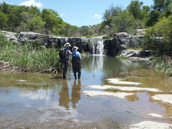 Wild fly fishing in the Karoo, fly fishing guiding for trout