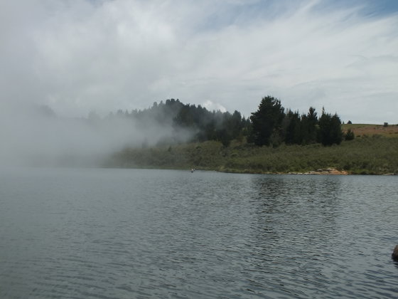 Fishing for trout in Somerset East