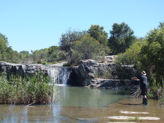 Fishing trout
