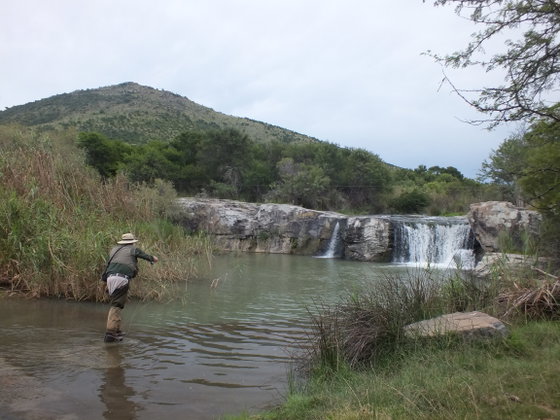 Fishing Trout River