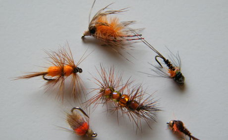 Fishing flies, daphnia, bettles