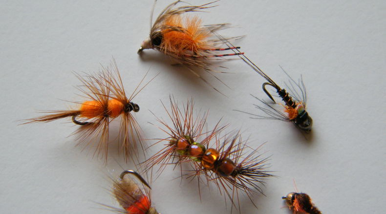 Fishing flies, daphnia, bettles