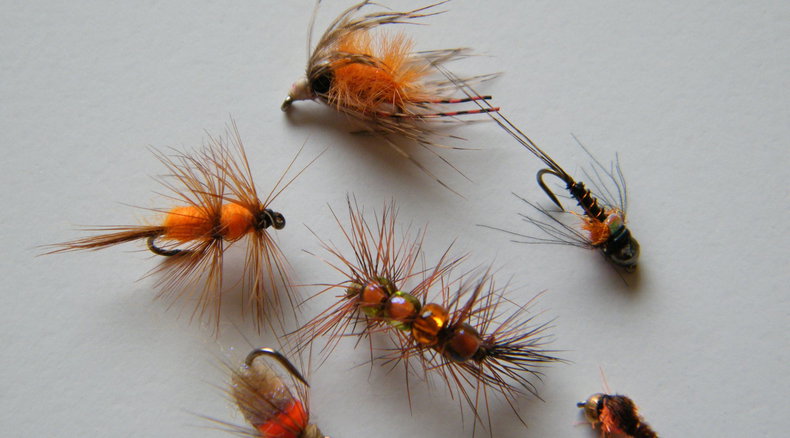 Fishing flies, daphnia, bettles