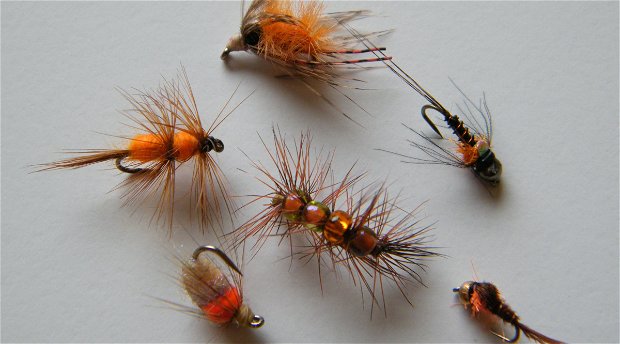 Fishing flies, daphnia, bettles