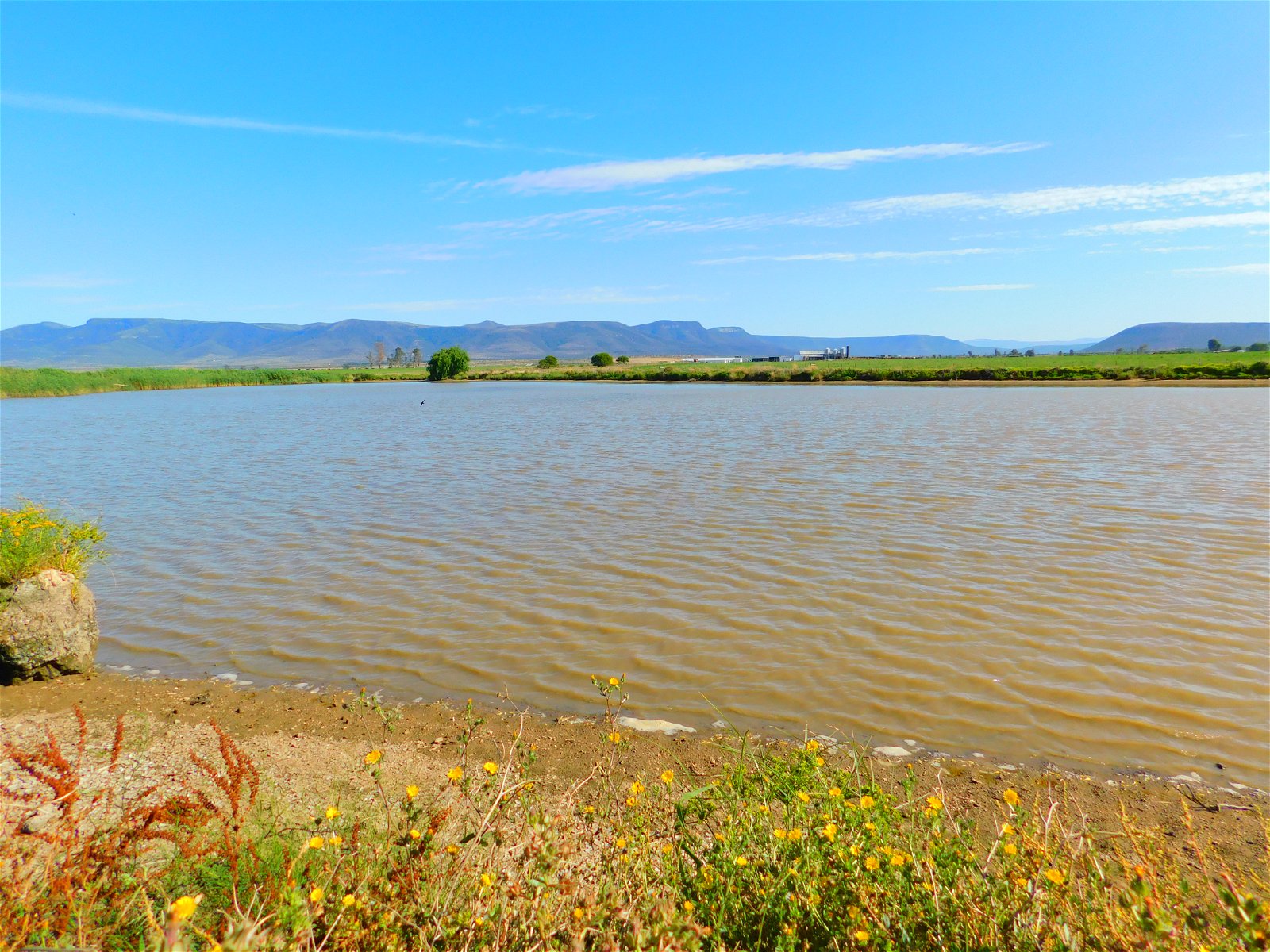 Barbel fishing, Somerset East South Africa