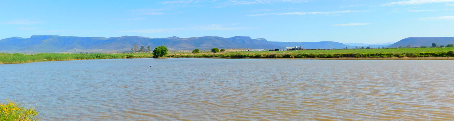 Barbel fishing, Somerset East South Africa