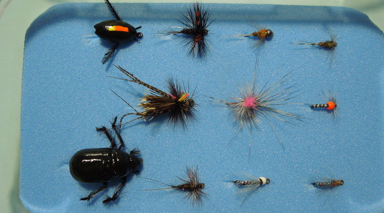 Fly Fishing for trout, yellowfishing, beetles, nymph fishing Fly Fishing for trout, yellowfishing, beetles, nymph fishing