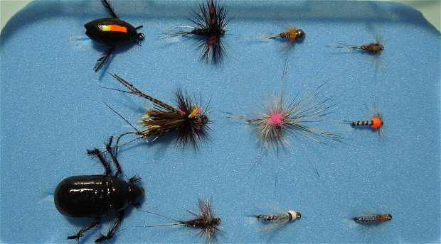 Fly Fishing for trout, yellowfishing, beetles, nymph fishing