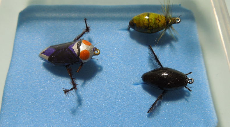 speciality flies, outside the box, floating snail, diving beetle, backswimmer, alan hobson
