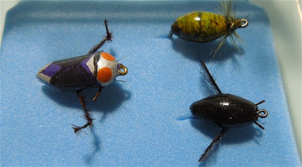 speciality flies, outside the box, floating snail, diving beetle, backswimmer, alan hobson
