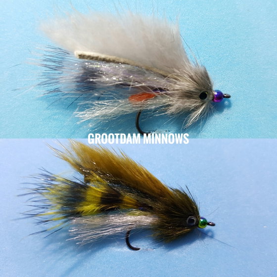 Grootdam minnow by Alan Hobson, Wild Fly Fishing in the Karoo