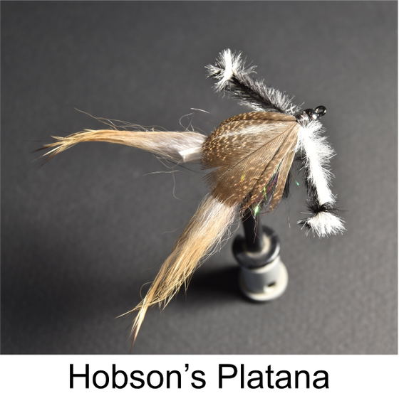 Hobson's Choice, Hobsons Platana, Speciality flies by Alan Hobson, Wild Fly Fishing in the Karoo Hobson's Choice, Hobsons Platana, Speciality flies by Alan Hobson, Wild Fly Fishing in the Karoo