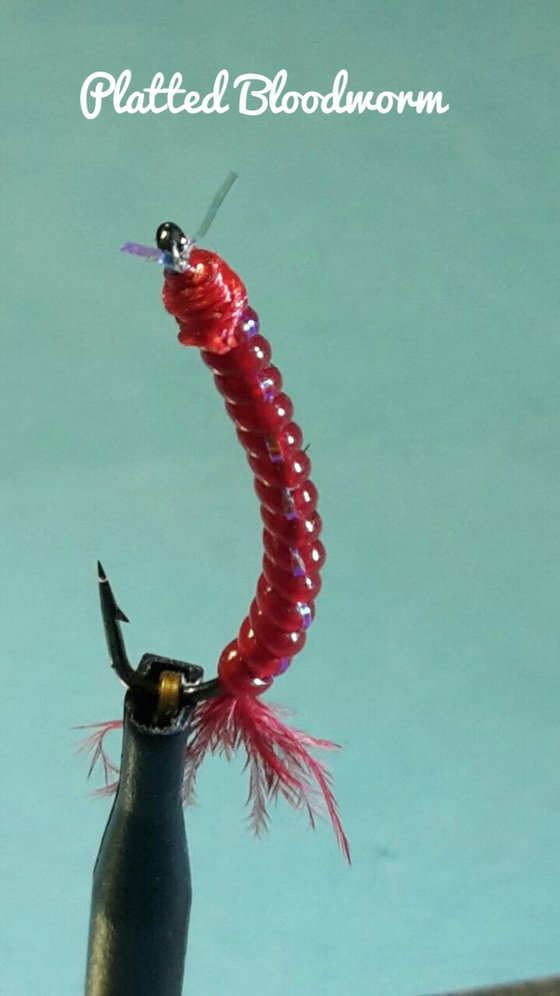 Platted Bloodworm by Alan Hobson, Wild Fly Fishing in the Karoo