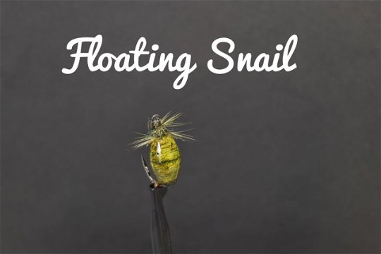 Floating Snail, by Alan Hobson of Wild fly fishing in the Karoo