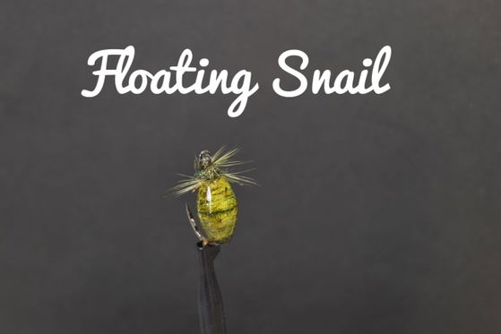 Floating Snail, by Alan Hobson of Wild fly fishing in the Karoo Floating Snail, by Alan Hobson of Wild fly fishing in the Karoo