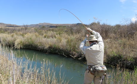 Fly Fishing for trout, small stream, bamboo rod; Wild Fly Fishing in the Karoo