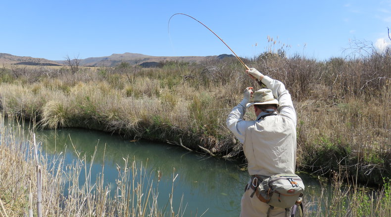 Fly Fishing for trout, small stream, bamboo rod; Wild Fly Fishing in the Karoo