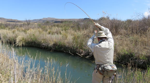 Fly Fishing for trout, small stream, bamboo rod; Wild Fly Fishing in the Karoo Fly Fishing for trout, small stream, bamboo rod; Wild Fly Fishing in the Karoo