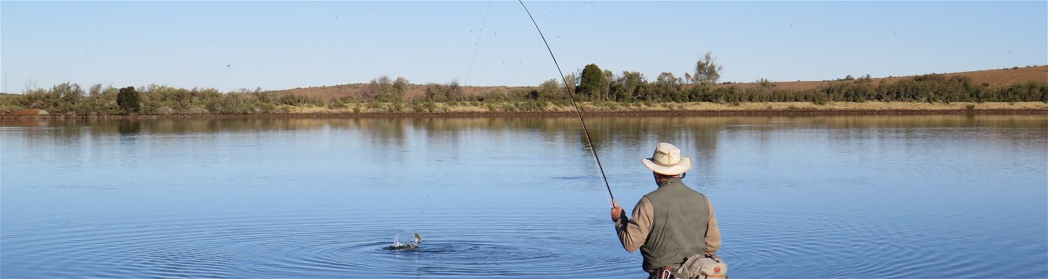 fly fish in south africa, caddis hatch, fly fishing for trout in Somerset East