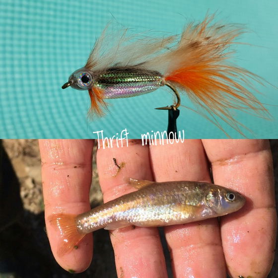 Thrift Minnow by Alan Hobson, Wild Fly Fishing in the Karoo Thrift Minnow by Alan Hobson, Wild Fly Fishing in the Karoo