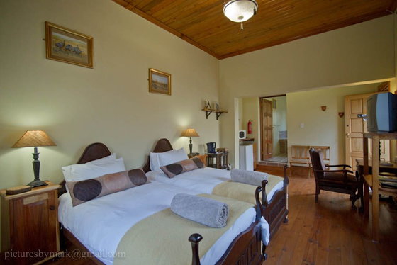 Antelope room, Angler & Antelope, Somerset East, South Africa