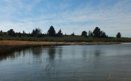 Fly fishing for trout in Somerset East