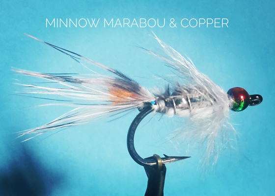 Minnow Marabou & Copper by Alan Hobson, Wild Fly Fishing in the Karoo Minnow Marabou & Copper by Alan Hobson, Wild Fly Fishing in the Karoo