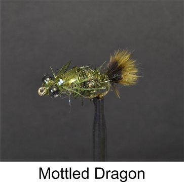 Mottled Dragon by Alan Hobson, Wild Fly Fishing in the Karoo