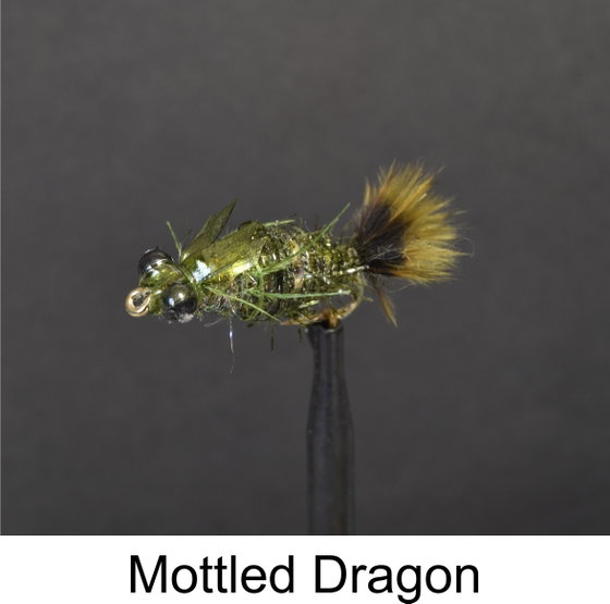 Mottled Dragon by Alan Hobson, Wild Fly Fishing in the Karoo