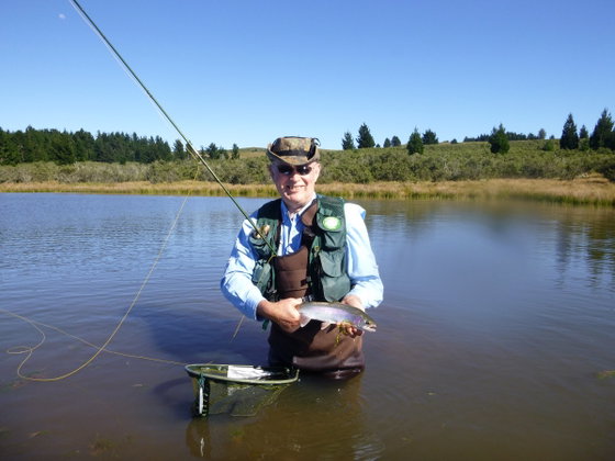 Fishing trout, Still water