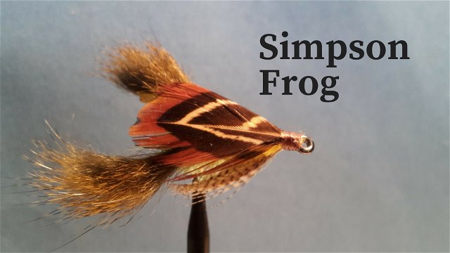 Simpson Frog by Alan Hobson, Wild Fly Fishing in the Karoo