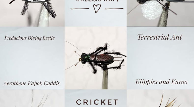 Flies for Sterkfontein dam by Alan Hobson, Wild fly fishing in the Karoo Flies for Sterkfontein dam by Alan Hobson, Wild fly fishing in the Karoo