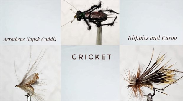 Flies for Sterkfontein dam by Alan Hobson, Wild fly fishing in the Karoo