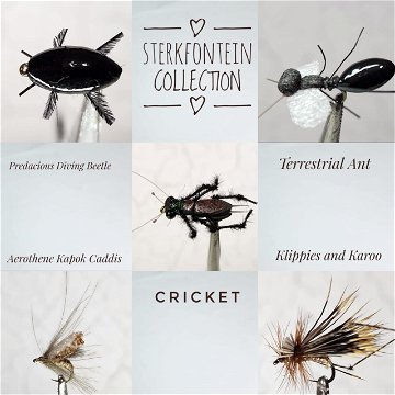 Flies for Sterkfontein dam by Alan Hobson, Wild fly fishing in the Karoo