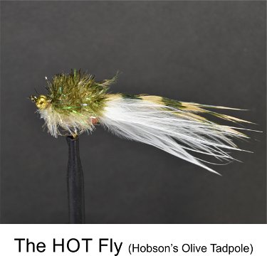 HOT Fly Olive by Alan Hobson, Wild Fly Fishing in the Karoo
