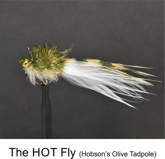 HOT Fly Olive by Alan Hobson, Wild Fly Fishing in the Karoo HOT Fly Olive by Alan Hobson, Wild Fly Fishing in the Karoo