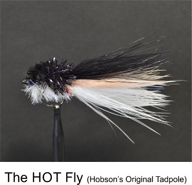 HOT Fly Original by Alan Hobson, Wild Fly Fishing in the Karoo