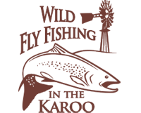 Wild Fly Fishing in the Karoo - fishing trips South Africa